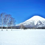 niseko