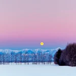 Obihiro: Where Earth’s Bounty and Well-being Resonate at the Heart of Tokachi