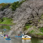 Tokyo Sakura Express Boat Tour: A 6-Hour Cherry Blossom Experience in Ueno, Koishikawa Korakuen, and Chidorigafuchi