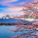 Tokyo Private Mt. Fuji Full-Day Tour – Luxury Day Trip with English Driver & Customizable Itinerary