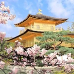 Kyoto One-Day Traditional Highlights Tour:Kinkaku-ji, Kiyomizu-dera & Fushimi Inari Shrine (From Osaka or Kyoto)