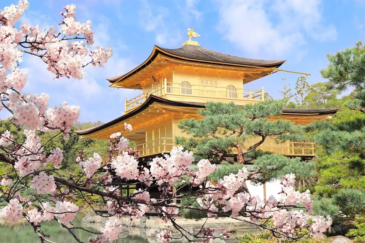 Kyoto One-Day Traditional Highlights Tour:Kinkaku-ji, Kiyomizu-dera & Fushimi Inari Shrine (Fro…