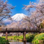 Mount Fuji Day Trip from Tokyo, Japan An Honest Review of the 8-Spot Mount Fuji Tour